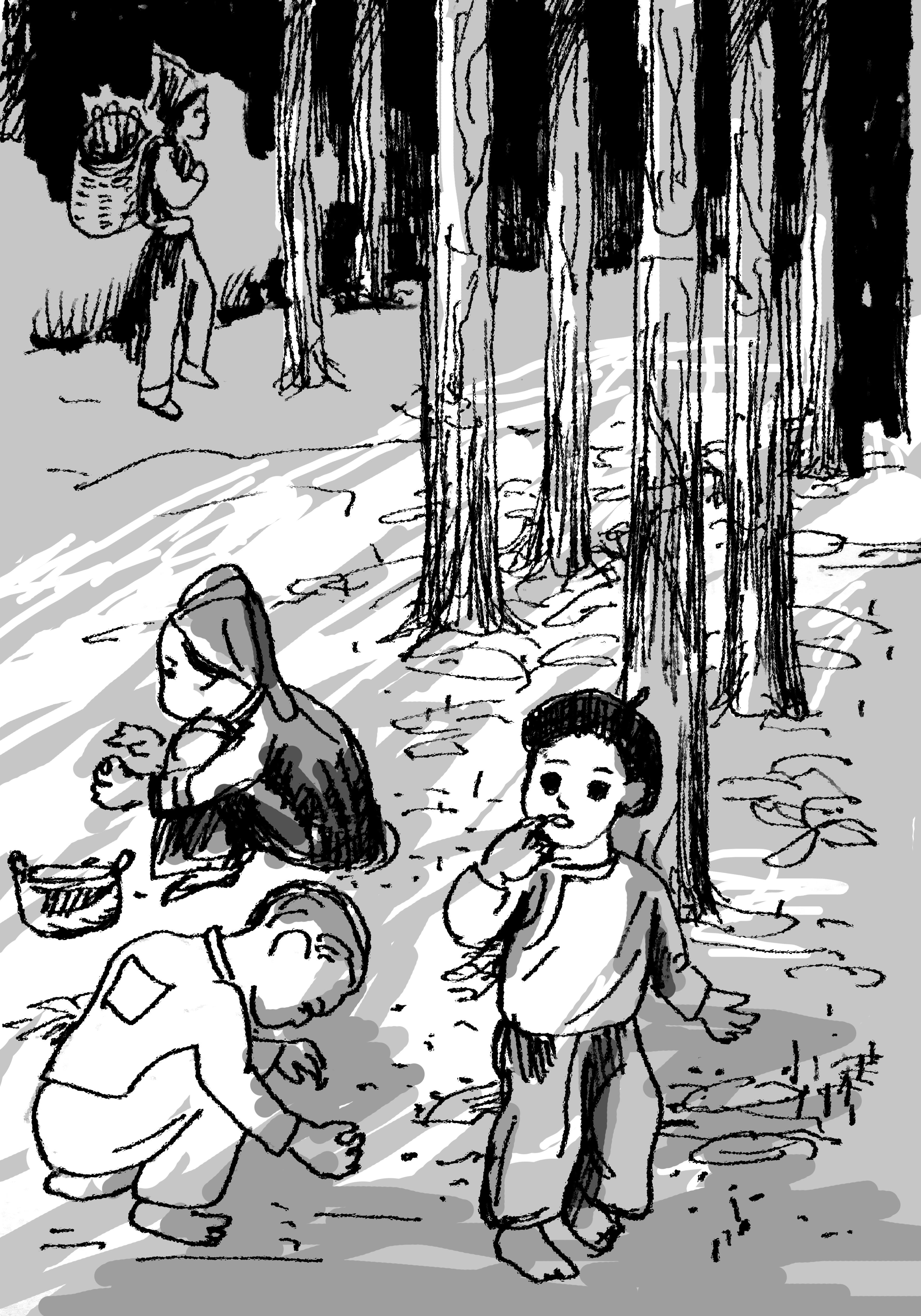 Hương quế từ bản Dao

